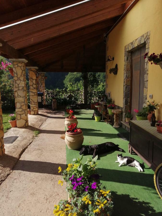 B&B Il Ghiro-Country House Морманно Экстерьер фото