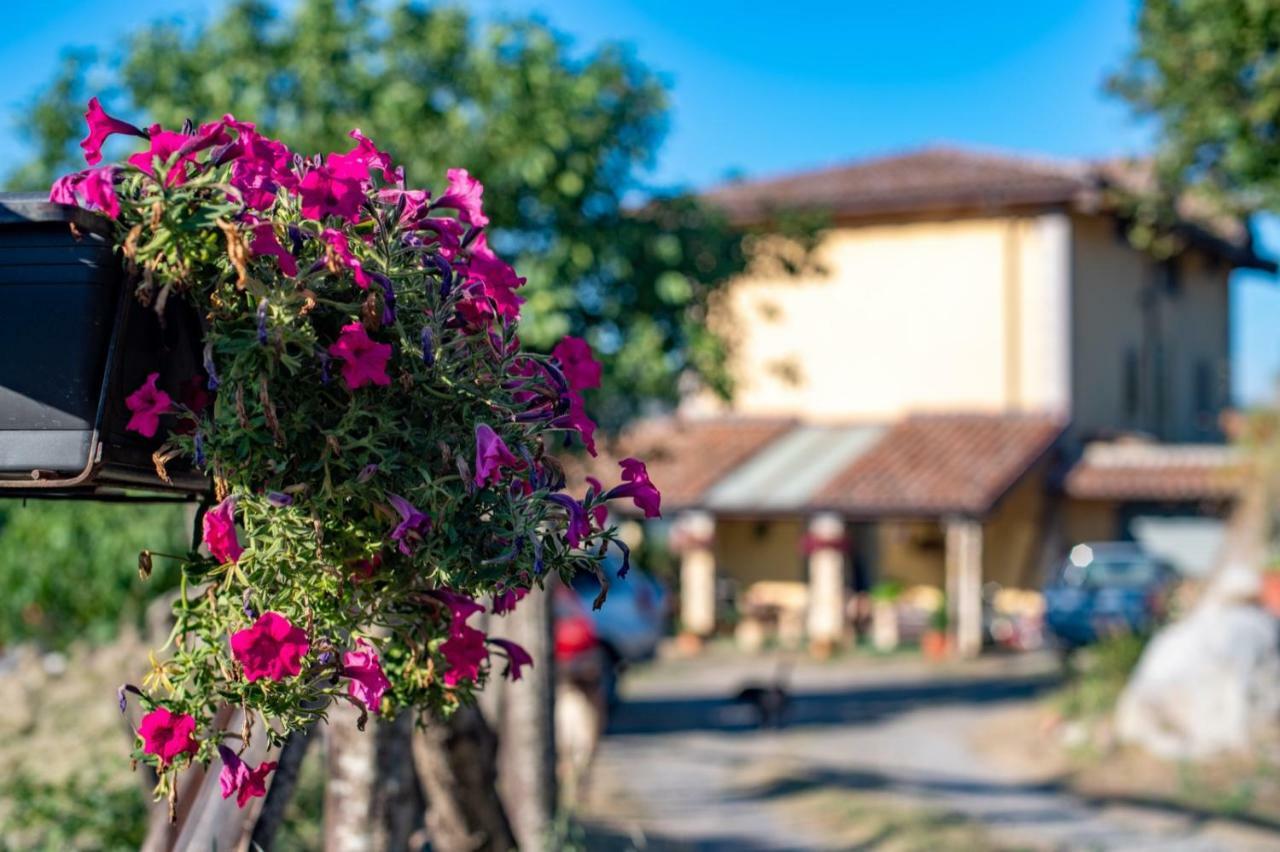 B&B Il Ghiro-Country House Морманно Экстерьер фото